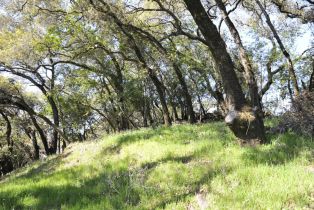 Residential Lot, 283 Clear Ridge drive, Healdsburg, CA 95448 - 15