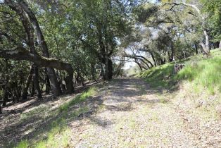 Residential Lot, 283 Clear Ridge drive, Healdsburg, CA 95448 - 7