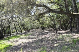 Residential Lot, 283 Clear Ridge drive, Healdsburg, CA 95448 - 8