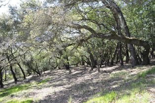 Residential Lot, 283 Clear Ridge drive, Healdsburg, CA 95448 - 6