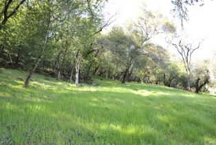 Residential Lot, 283 Clear Ridge drive, Healdsburg, CA 95448 - 25