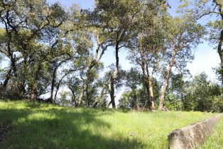 Residential Lot, 283 Clear Ridge drive, Healdsburg, CA 95448 - 20