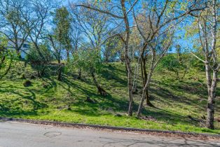 Residential Lot,  Country Club lane, Napa, CA 94558 - 3