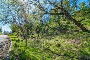 Residential Lot,  Country Club lane, Napa, CA 94558 - 10