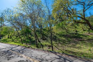 Residential Lot,  Country Club lane, Napa, CA 94558 - 2