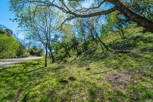 Residential Lot,  Country Club lane, Napa, CA 94558 - 9