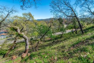 Residential Lot,  Country Club lane, Napa, CA 94558 - 7