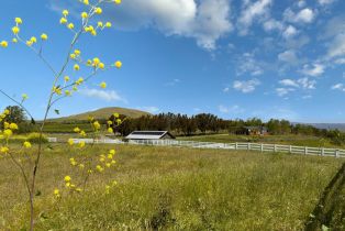 Single Family Residence,  Sears Point road, Sonoma, CA 95476 - 23