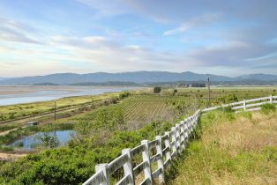 Single Family Residence,  Sears Point road, Sonoma, CA 95476 - 22