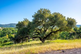 Single Family Residence,  Los Alamos road, Santa Rosa, CA 95409 - 3