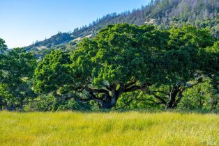 Single Family Residence,  Los Alamos road, Santa Rosa, CA 95409 - 35