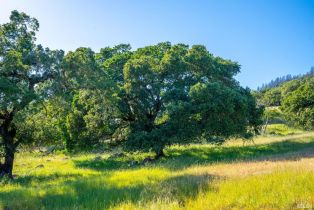 Single Family Residence,  Los Alamos road, Santa Rosa, CA 95409 - 30