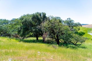 Single Family Residence,  Los Alamos road, Santa Rosa, CA 95409 - 27