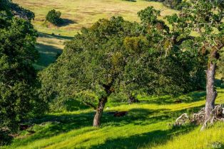 Single Family Residence,  Los Alamos road, Santa Rosa, CA 95409 - 38