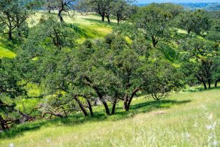 Single Family Residence,  Los Alamos road, Santa Rosa, CA 95409 - 31