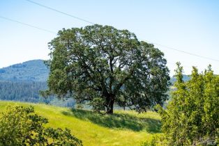 Single Family Residence,  Los Alamos road, Santa Rosa, CA 95409 - 25