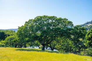 Single Family Residence,  Los Alamos road, Santa Rosa, CA 95409 - 36