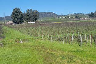 Agriculture, 23500 23300 & 23500 Ramal Road road, Sonoma, CA 95476 - 2