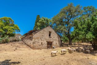 Single Family Residence,  Monticello road, Napa, CA 94558 - 14