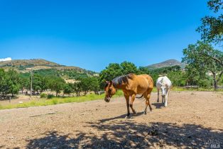 Residential Acreage,  Monticello road, Napa, CA 94558 - 25