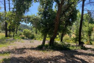 Residential Acreage,  Franz Valley School road, Calistoga, CA 94515 - 10