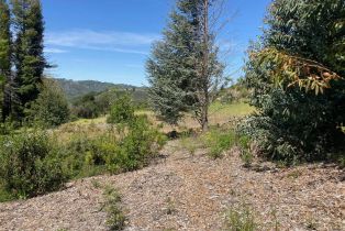 Residential Acreage,  Franz Valley School road, Calistoga, CA 94515 - 7