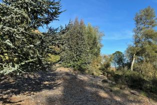 Residential Acreage,  Franz Valley School road, Calistoga, CA 94515 - 15