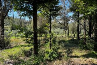 Residential Acreage,  Franz Valley School road, Calistoga, CA 94515 - 17