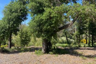 Residential Acreage,  Franz Valley School road, Calistoga, CA 94515 - 4