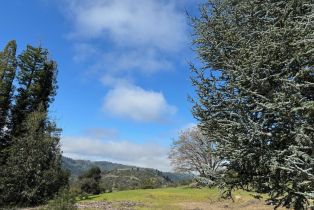 Residential Acreage,  Franz Valley School road, Calistoga, CA 94515 - 16