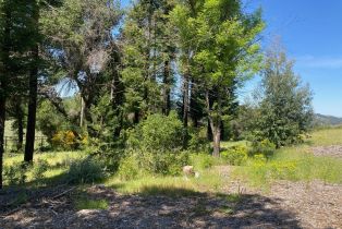 Residential Acreage,  Franz Valley School road, Calistoga, CA 94515 - 12