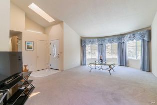 Single Family Residence,  Steele Canyon road, Napa, CA 94558 - 7