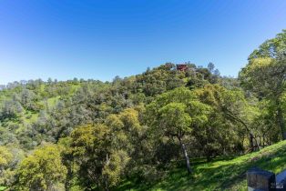 Single Family Residence,  Steele Canyon road, Napa, CA 94558 - 27