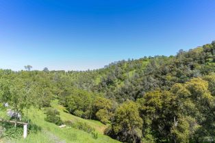 Residential Lot, Lot Steele Canyon road, Napa, CA 94558 - 9