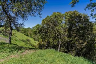 Residential Lot, Lot Steele Canyon road, Napa, CA 94558 - 4