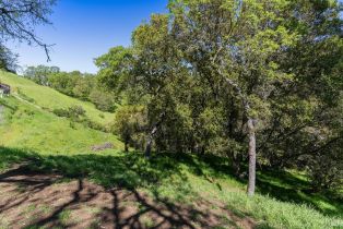 Residential Lot, Lot Steele Canyon road, Napa, CA 94558 - 5