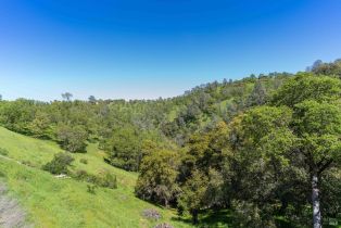 Residential Lot, Lot Steele Canyon road, Napa, CA 94558 - 10