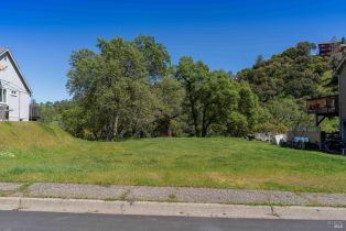 Land, Lot Steele Canyon Rd #61, Napa, CA  Napa, CA 94558