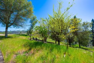 Residential Acreage,  Mill Creek road, Healdsburg, CA 95448 - 17