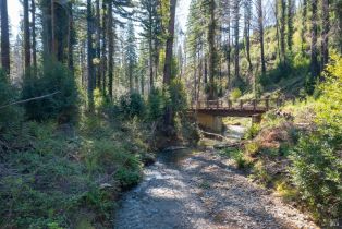 Residential Acreage,  Mill Creek road, Healdsburg, CA 95448 - 5