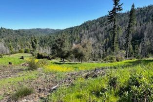 Residential Acreage,  Mill Creek road, Healdsburg, CA 95448 - 16