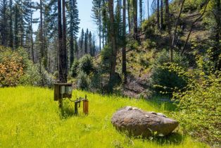 Residential Acreage,  Mill Creek road, Healdsburg, CA 95448 - 8