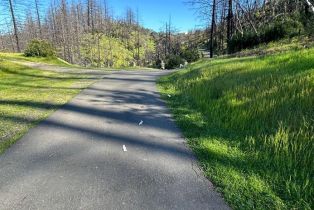 Residential Acreage,  cougar lane, Santa Rosa, CA 95409 - 3