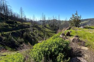 Residential Acreage,  cougar lane, Santa Rosa, CA 95409 - 6