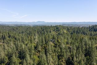 Single Family Residence,  Hwy 116 none, Russian River, CA 95436 - 26