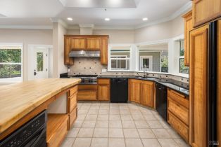 Single Family Residence,  Hwy 116 none, Russian River, CA 95436 - 11