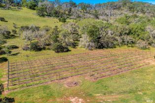 Single Family Residence,  Henno road, Glen Ellen, CA 95442 - 32