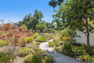 Single Family Residence,  Mora avenue, Calistoga, CA 94515 - 45