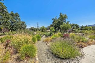 Single Family Residence,  Mora avenue, Calistoga, CA 94515 - 46