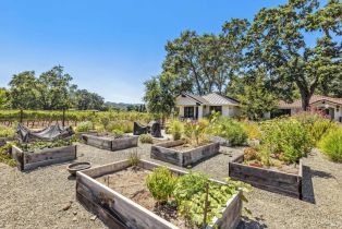 Single Family Residence,  Mora avenue, Calistoga, CA 94515 - 74